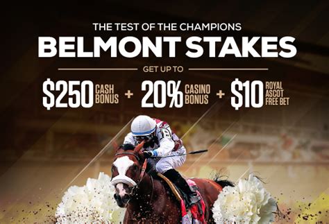 best bets for the belmont stakes - 2024 Belmont Stakes picks